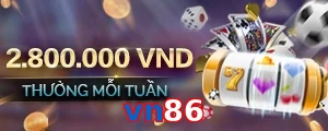 vn86
