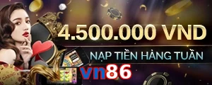 vn86