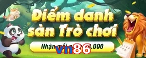 vn86