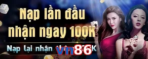 vn86