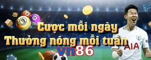 vn86